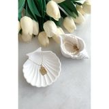 ToffyStore 2'li Beyaz Taş tozu Deniz Kabuğu Ve Istiridye Set