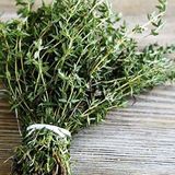 tohhum Aromatik Dağ Kekiği Tohumu 1000+ tohum paketi