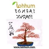 tohhum BONSAİ AĞAÇ TOPRAĞI KARIŞIMI 3 LİTRE