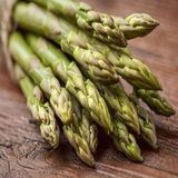 Tohhum Kuşkonmaz Asparagus Tohumu