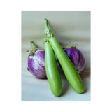 Tohhum Thaı Eggplant Yeşil Patlıcan Tohumu