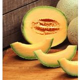 Tohum Dünyam 10 Adet Cantalupo Kavun Tohumu