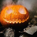 Tohum Dünyam 10 Adet Giant Pumpkin - Big Max Halloween Bal Kabağı Tohumu