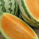 Tohum Dünyam 10 Adet Sweet Tendersweet Portakal Karpuz Tohumu