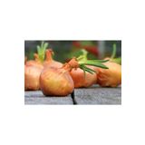 Tohum Dünyam 100 Adet Organic Vidalia Sweet Soğan Tohumu