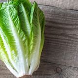 Tohum Dünyam 100 Adet Parris Island Romaine Marul Tohumu