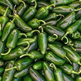 Tohum Dünyam 20 Adet Early Jalapeno Biber Tohumu