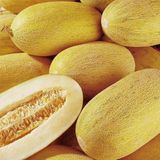 Tohum Dünyam 20 Adet Golden Sweet Crispy Kavun Tohumu