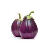 Tohum Dünyam 20 Adet Italyan Floransa Patlıcan Tohumu