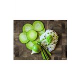 Tohum Dünyam 20 Adet Japon Wasabi Turpu Tohumu