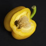 Tohum Dünyam 20 Adet Organic Canary Yellow Bell Biber Tohumu