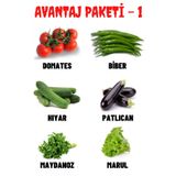 Tohum Dünyam Avantaj Paketi-1 Domates, Biber, Hıyar, Patlıcan, Maydanoz, Marul Tohumları, Toplam +300 Adet Tohum