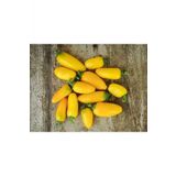 Tohum Dünyam Lemon Spice Jalepeno Biber Tohumu