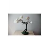 Tohum Dünyam Magnolia Bonsai Ağacı Tohumu 3 Adet