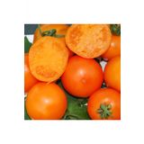 Tohum Dünyam Mandarin Orange Domates Tohumu