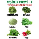 Tohum Dünyam Yeşillik Paketi-2 Iceberg Marul, Ispanak, Lahana, Tere, Maydanoz, Turp, Tohum Seti 600 Adet Tohum