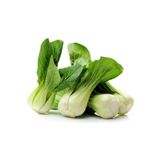 Tohum Dünyası 100 Adet Bebek Beyaz Çin Lahanası Tohumu- Pak Choy Tohumu