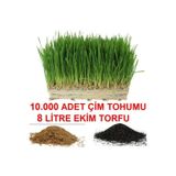 Tohum Gübre 10.000 Adet Çim Tohumu Ve De 8 Litre Çim Ekim Torfu Toprak