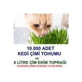 Tohum Gübre 10.000 Adet Kedi Çimi Tohumu Ve 8 Litre Kedi Çimi Ekim Torfu