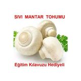 Tohum Gübre 100 Ml Beyaz Şapkalı Kültür Mantarı Miseli (Mantar Tohumu)