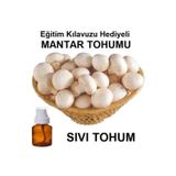 Tohum Gübre 100 Ml Kültür Mantarı Tohumu