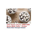 Tohum Gübre 3000 Adet Beyaz Şapkalı Kültür Mantarı Tohumu + 13 Litre Mantar Ekim Torfu Ve Mantar Ekim Yönergesi