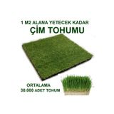 Tohum Gübre Kedi Çimi Tohumu 1 M2 ( Ortalama 10.000 Adet )