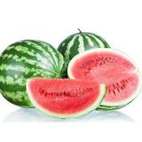 TOHUM KARPUZ TOHUMU CRIMSON SWEET 25+ ADET KARPUZ TOHUMU