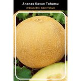 Tohum Seç Ananas Kavun Tohumu, 2 Gram/45+ Adet Tohum