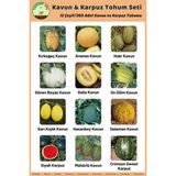 Tohum Seç Kavun & Karpuz Tohum Seti, 12 Çeşit 300+ Adet Kavun ve Karpuz Tohumu, Avantajlı Tohum Seti - 1 Adet