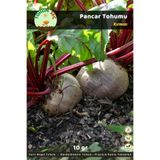 Tohum Seç Kırmızı Pancar Tohumu, Yerli Doğal Tohum, Takribi 500+ Adet Tohum, 10 gr