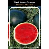 Tohum Seç Siyah Karpuz Tohumu, 2 Gram/30+ Adet Tohum