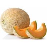Tohumbaba Kavun Ananas Tohumu Pakette 15 Adet Tohum
