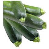 TohumBul Siyah Kolsuz Kara Kabak 5 gram