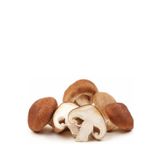 Tohumcu Kikizade 100 Gram Shitake Mantar Tohumu Miseli