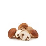 Tohumcu Kikizade 50 Gram Shitake Mantar Tohumu Miseli