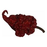 Tohumcu Kikizade Kurutulmuş Carolina Reaper Atom Biber 1 Adet 2,2 Milyon Scoville Gurme Yüksek Aroma Türkiye Üretimi