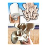 Tohumcu Kikizade Stiridye Mantarı Başlangıç Seti ( 10 Kg Tohum + Nem Ölçer +50 Adet Micro Del0İkli Torba