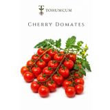 TOHUMCUM Ata Tohum | Doğal Cherry & Çeri Domates Tohumu (50 Ad)