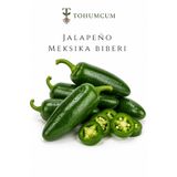 TOHUMCUM Jalapeno Tohumu & Meksika Biberi Tohumu (100 ad)