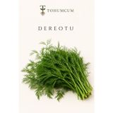 Tohumcum Sertifikalı Dereotu Tohumu