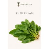 TOHUMCUM Sertifikalı Kuzu Kulağı Tohumu (200 ad)