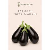 TOHUMCUM Sertifikalı Topak Patlıcan Tohumu (100 ad) | Adana Topak Patlıcan