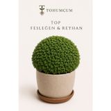 Tohumcum Top Fesleğen & Reyhan Tohumu (200 Ad)