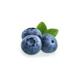 Tohumcumm 10 Adet Tohum Cranberry Tohumu Yaban Mersini Tohumu Turna Yemişi Tohumu Sürpriz Hediye Tohum