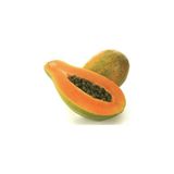 Tohumcumm 10 Adet Tohum Nadir Tropikal Papaya Meyve Ağacı Ağaç Tohumu Papaya Tohumu Saksı Toprak Hediyeli