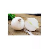 Tohumcumm 100 Adet Organik Bahçe Beyaz Kışlık Soğan Tohumu Yeni Hasat Hobi Balkon Bahçe Hediye Tohum