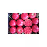 Tohumcumm 100 Adet Tohum Nadir Iri Pembe Bulgar Köy Domatesi Tohumu Hobi Bahçe Domates Tohumu Hediye Tohumlu