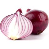 Tohumcumm 100 Adet Tohum Nadir Ithal Mor Soğan Tohumu