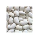 Tohumcumm 100 Gr Organik Hasat Beyaz Sırık Fasulye Tohumu Hediye Tohumlu